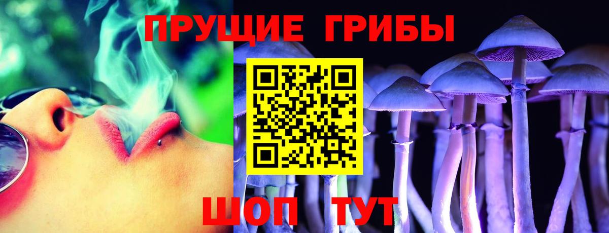 Псилоцибиновые грибы MAGIC MUSHROOMS Тимашёвск